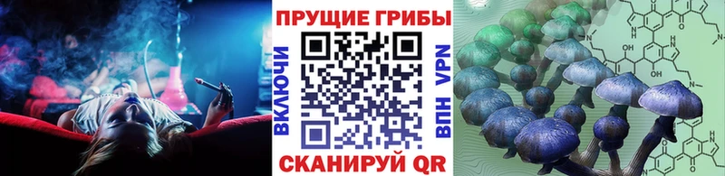 Псилоцибиновые грибы мухоморы  закладка  Каргополь 